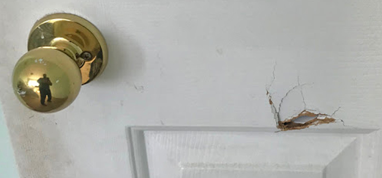 interior door hole repair Santa Monica
